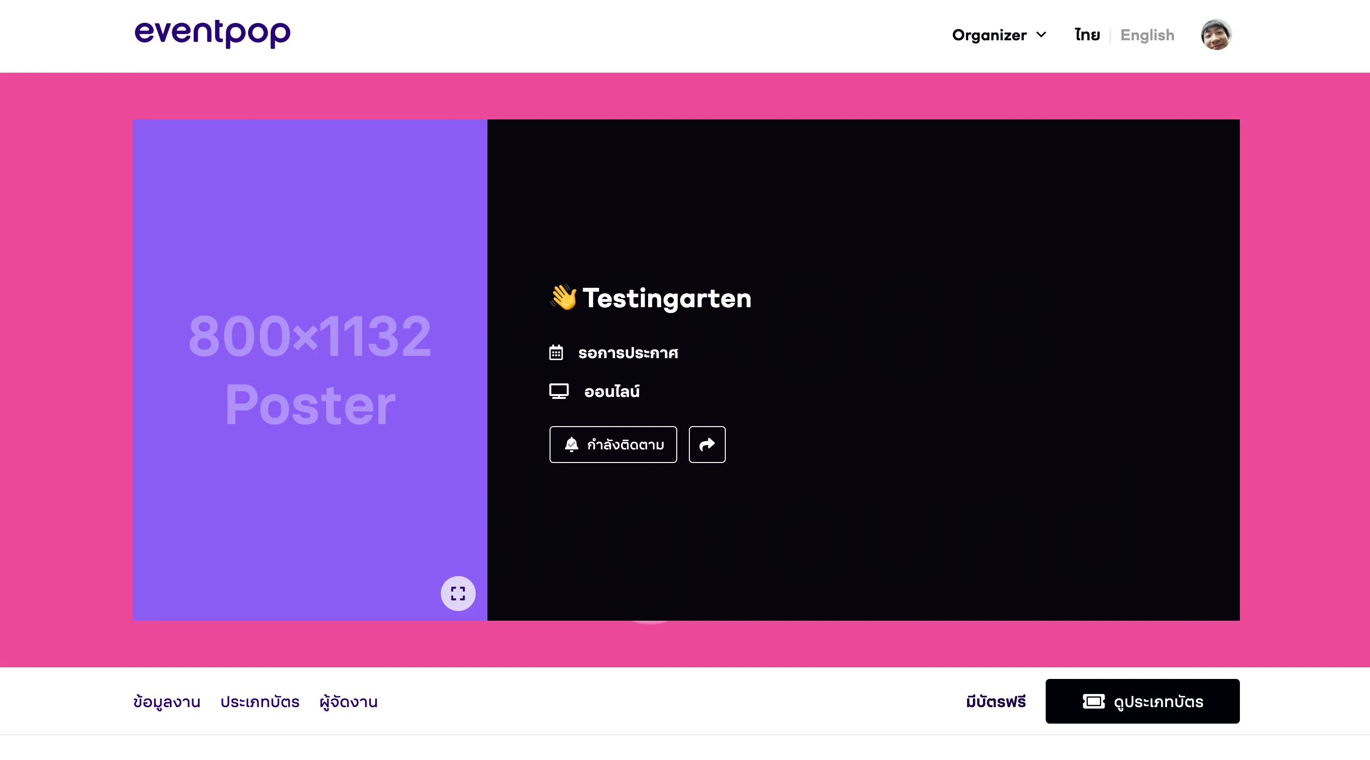 The image shows a web page with text indicating that poster image and background images can be changed, and the background color in the section can be chosen while text on that section can be either black or white.
